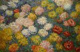 Chrysanthemums 3